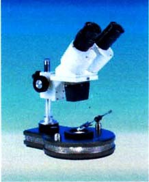  - Mikroskop Dunkelfeld Eickhorst